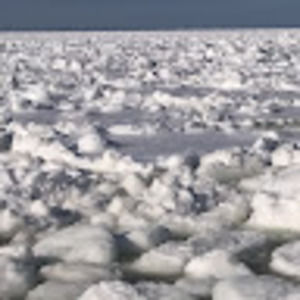 Meet your Posher, Liam